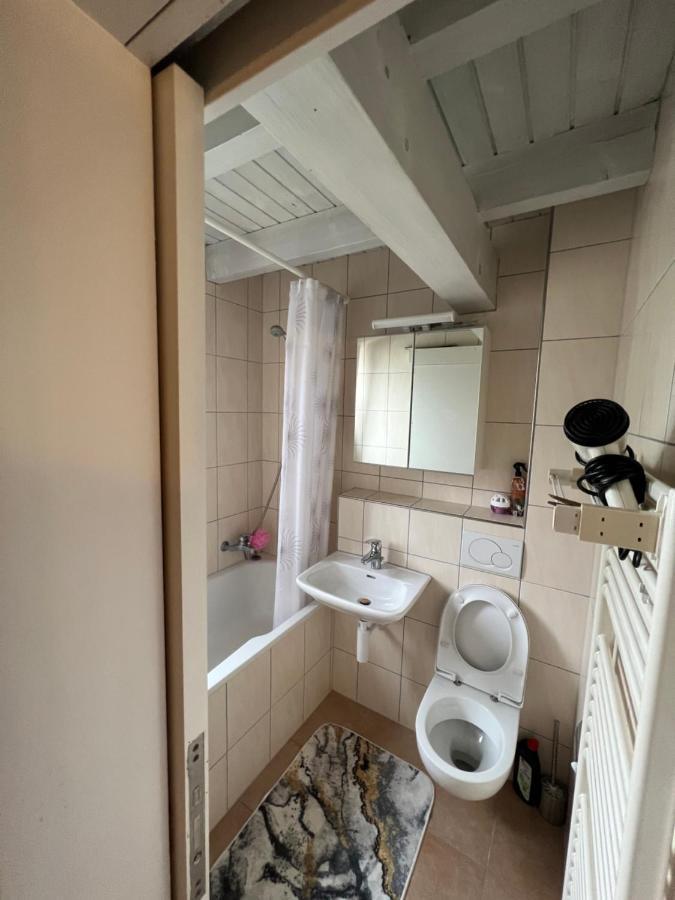 Get Cozy Flat Zuerich Apartment Luaran gambar